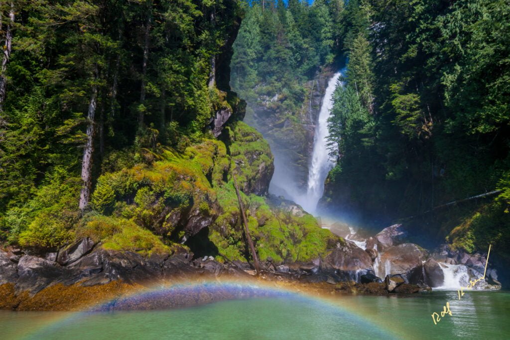 Millerd Creek Waterfall Rainforest