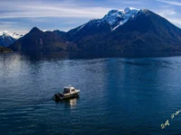Ambient Light Tour Boat Knight Inlet