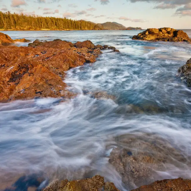 Family Photo Tour Vancouver Island