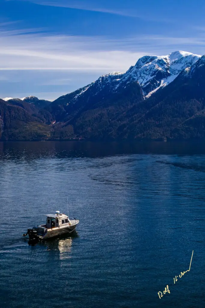 Family wildlife photo tour boat