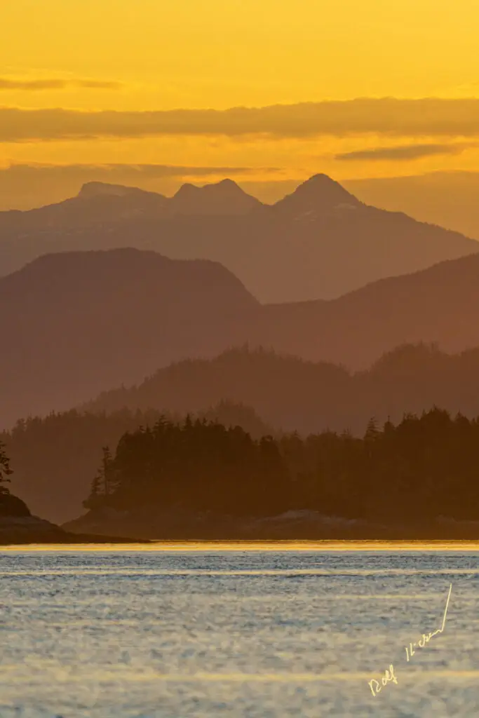 Photo Tour Sunrise Great Bear Rainforest