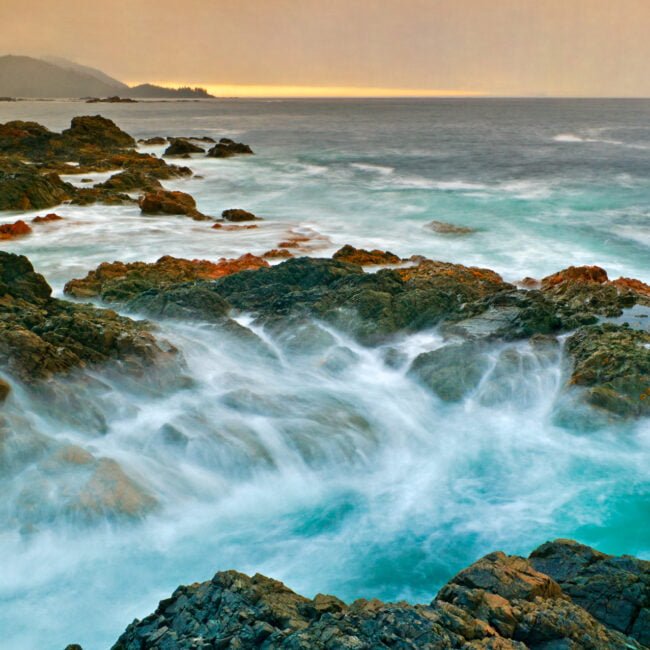 Vancouver Island Wild West Coast