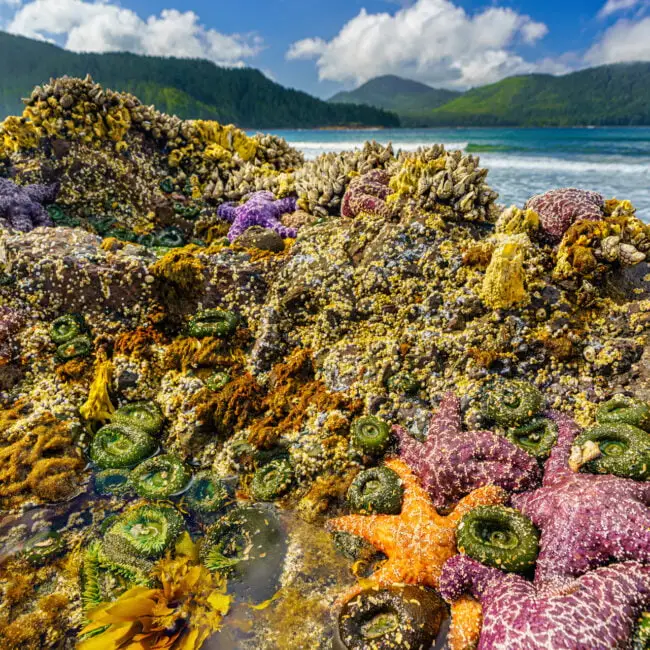 Family photo tour cape scott