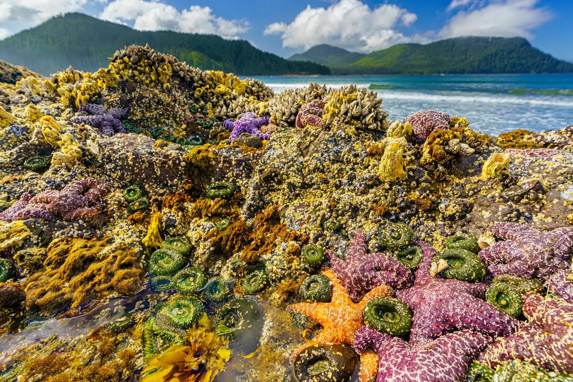 Family photo tour cape scott